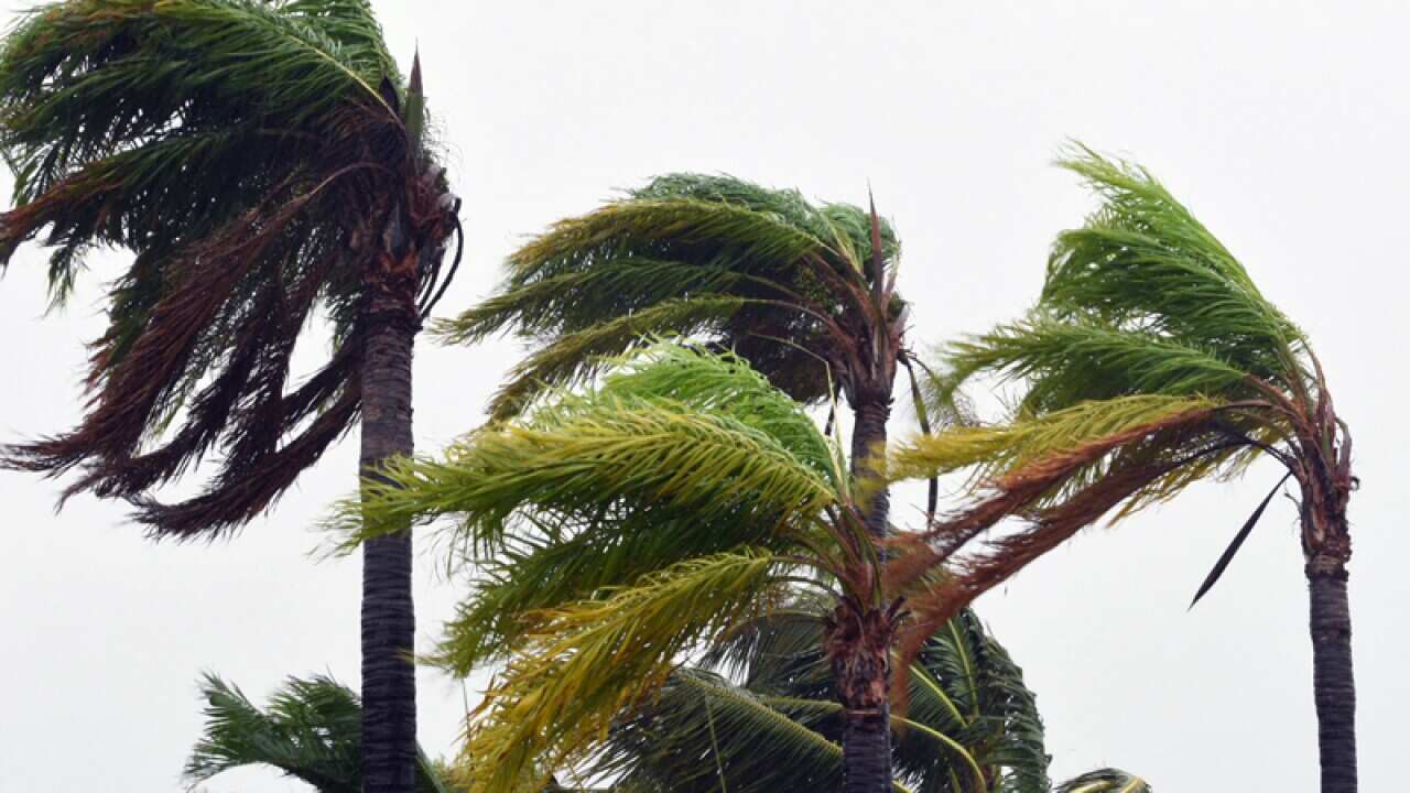 Strong winds lash Bowen