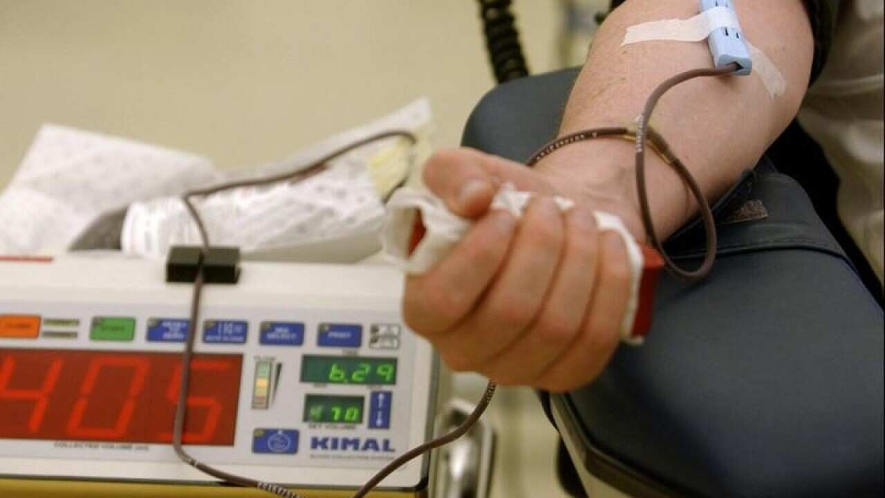 A file photo of someone donating blood.