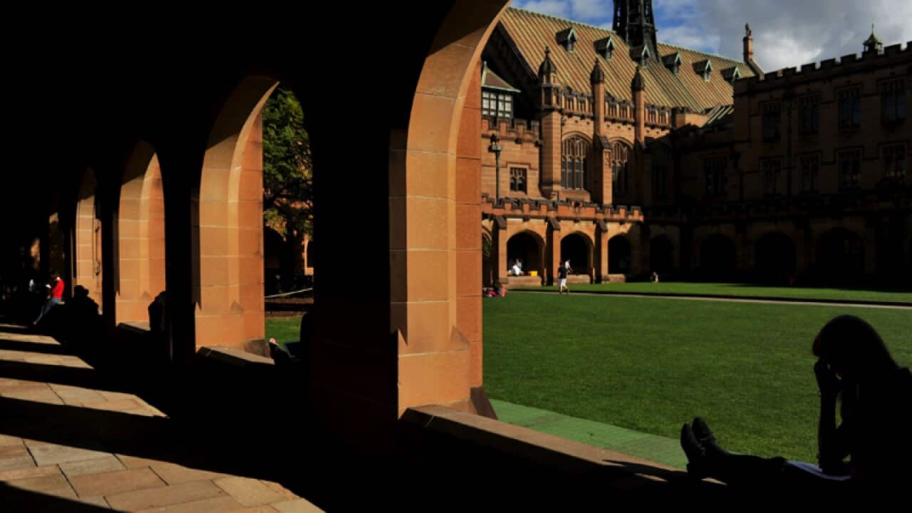 The University of Sydney