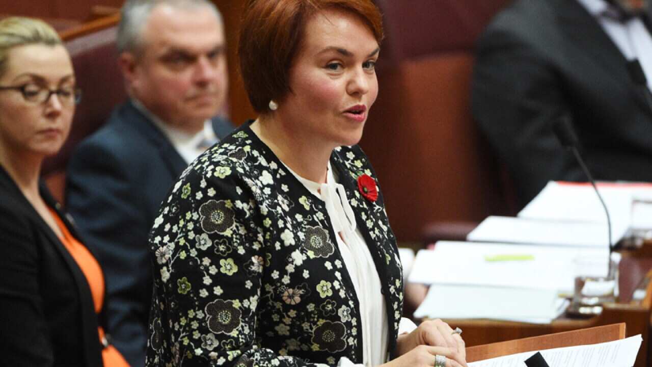 New Labor senator Kimberley Kitching