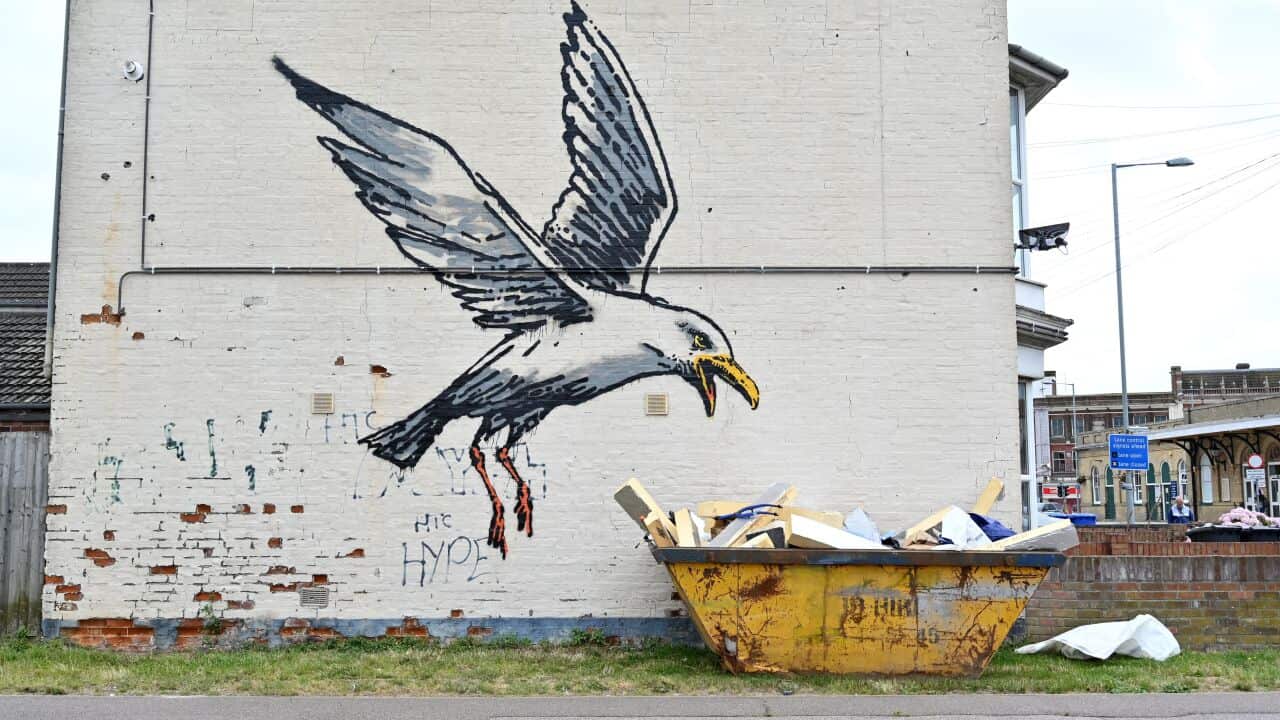 A large seagull painted on a wall, with a skip placed next to it. It looks like the seagull is diving in on the skip.