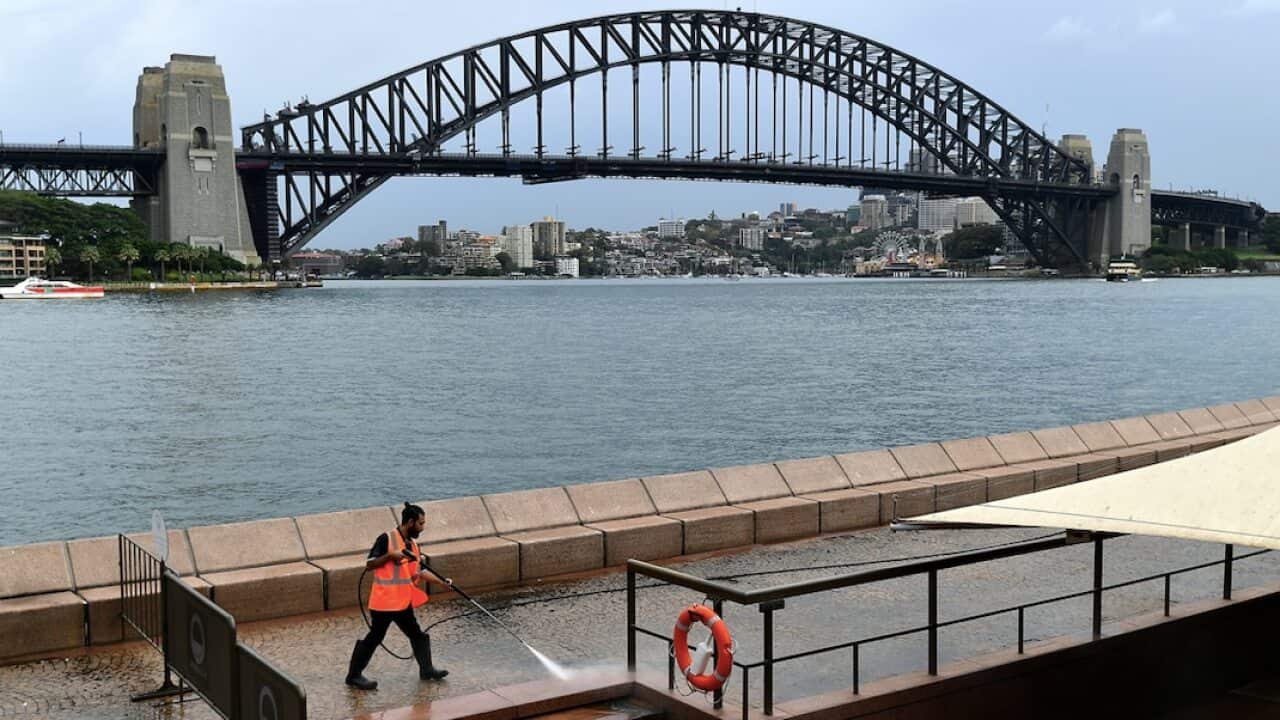 A worker washes an empty Circular Quay this week.