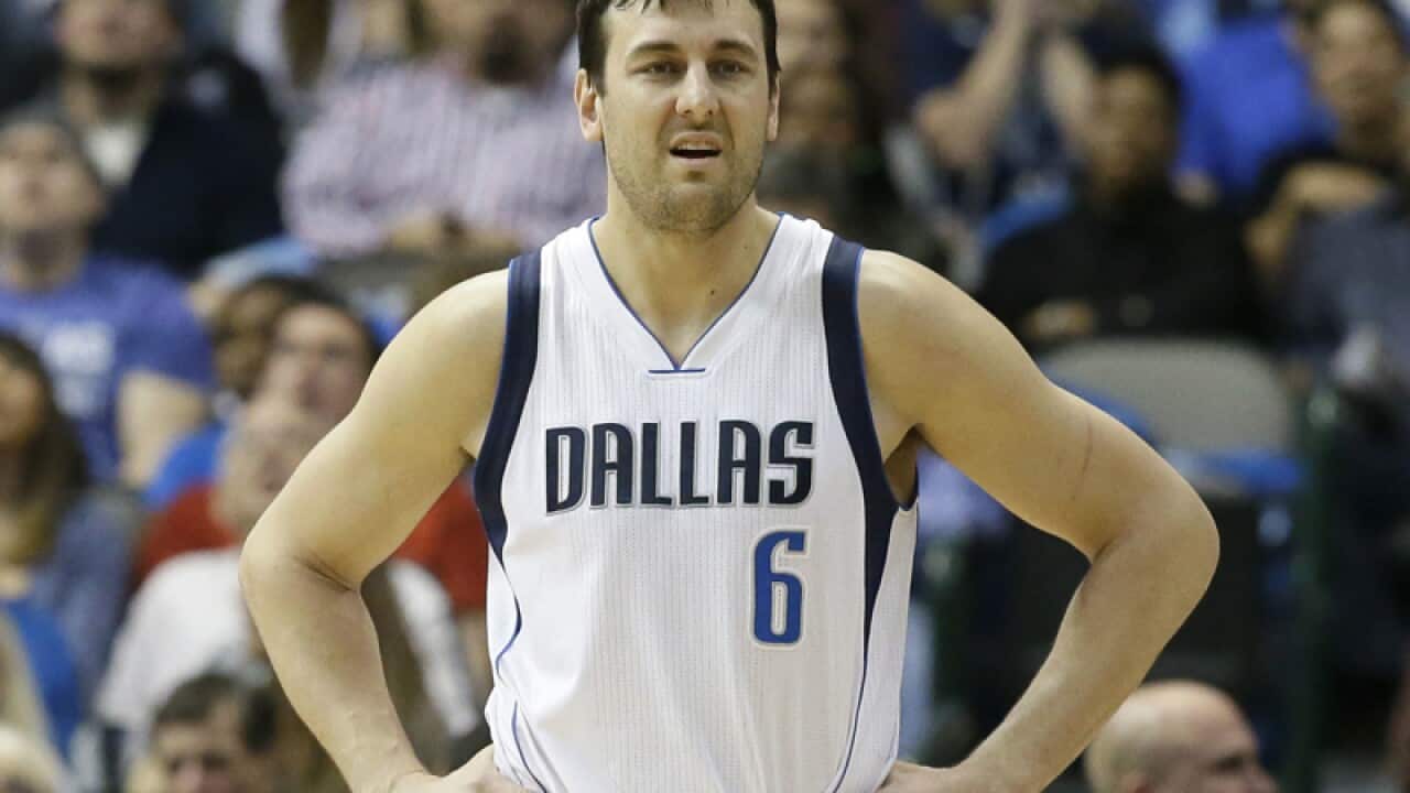 Andrew Bogut