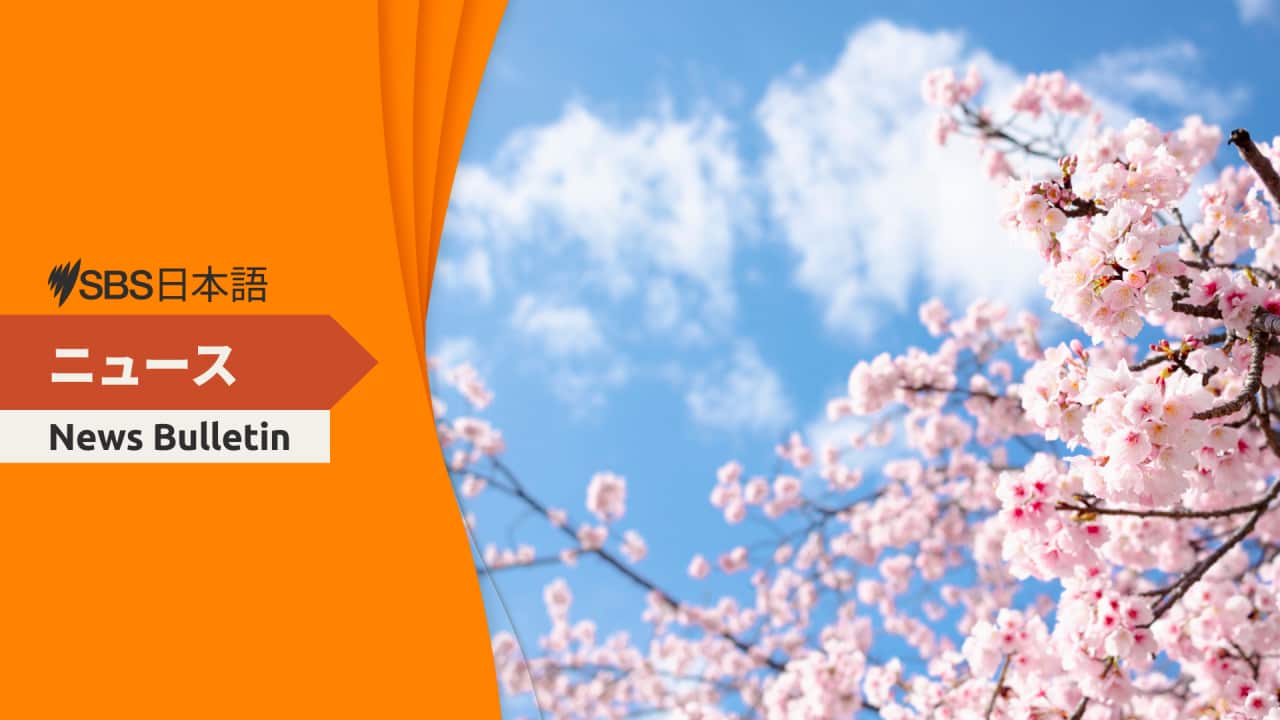 SBS Japanese News for Tuesday 19 May