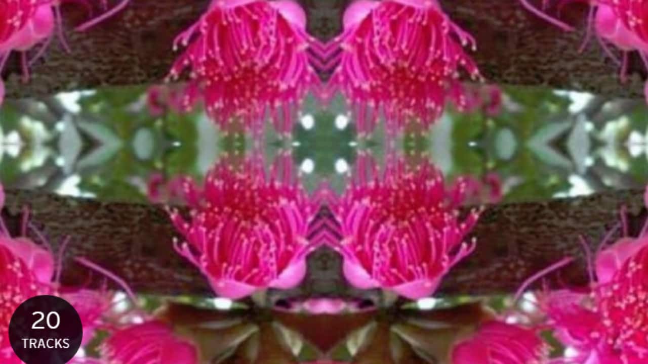 Sovereign Trax, NITV,