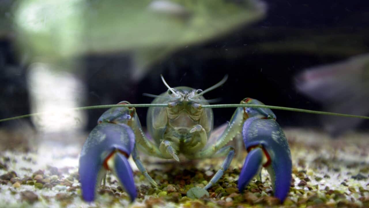 Image for read more article 'เรื่องราวที่น่าสนใจ'