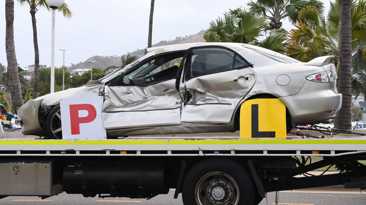DRIVER LICENCE STOCK