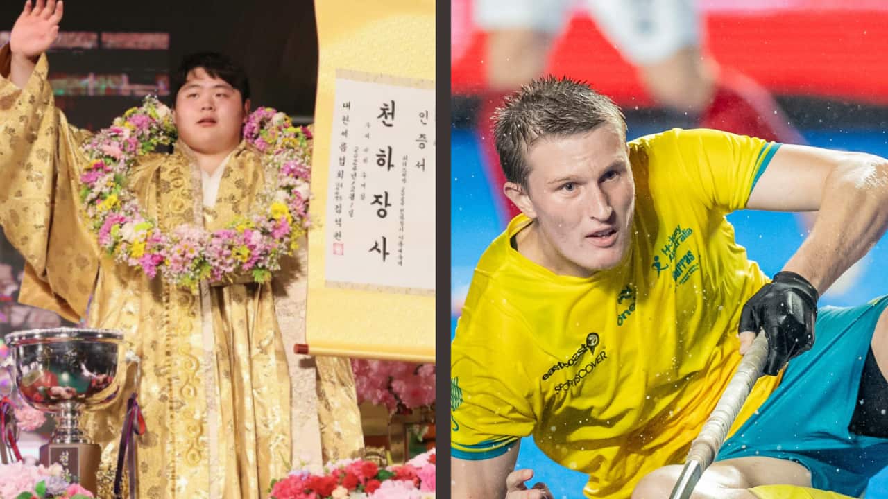 Image for read more article ''