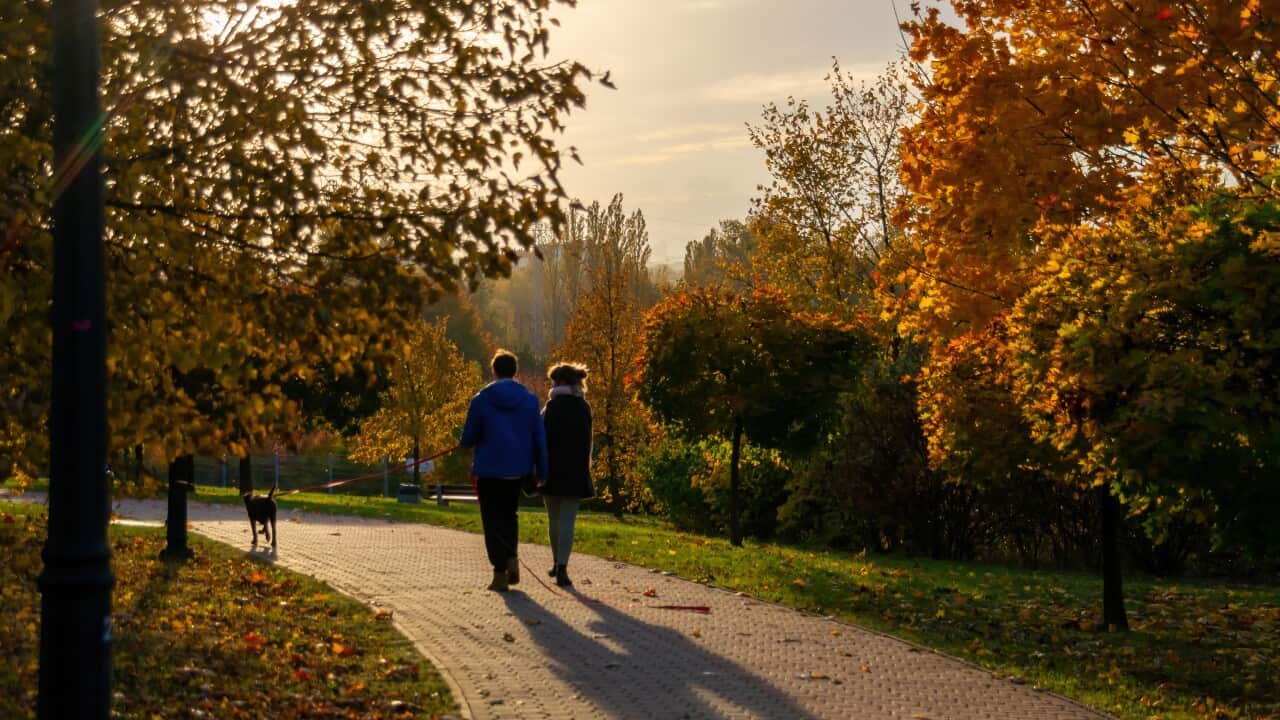 Sunset, park alleys, city park in Środula, Sosnowiec, Autumn 2021