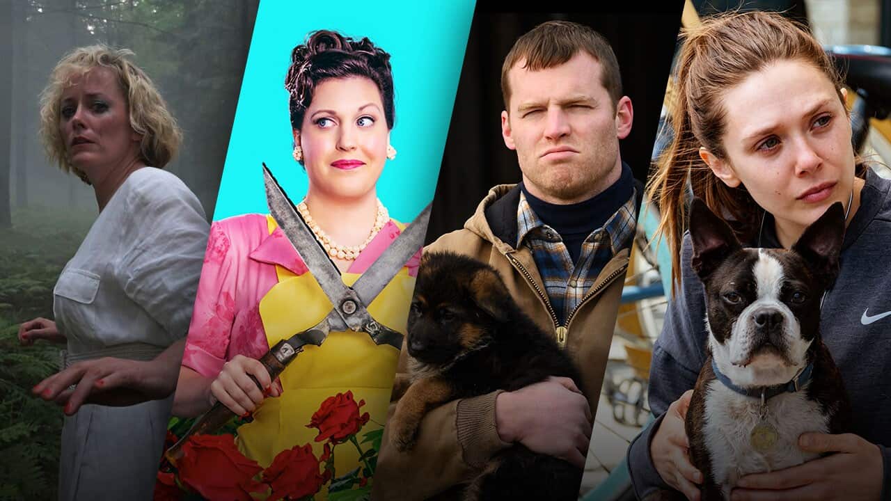 Top new series in Jan 2022