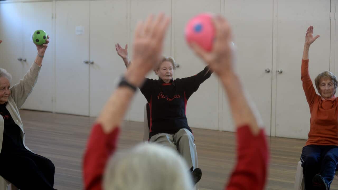 SENIORS EXERCISE ACTIVITY