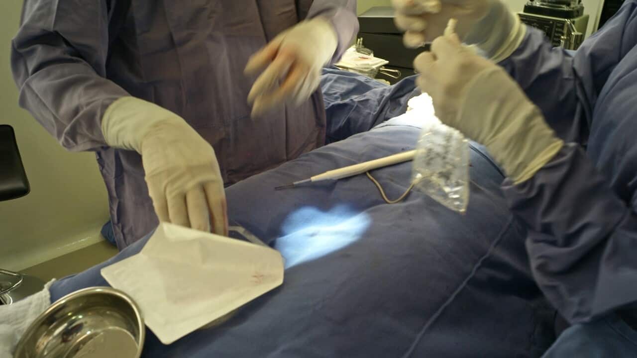 A photo of a surgeon prepping a patient for cosmetic surgery.