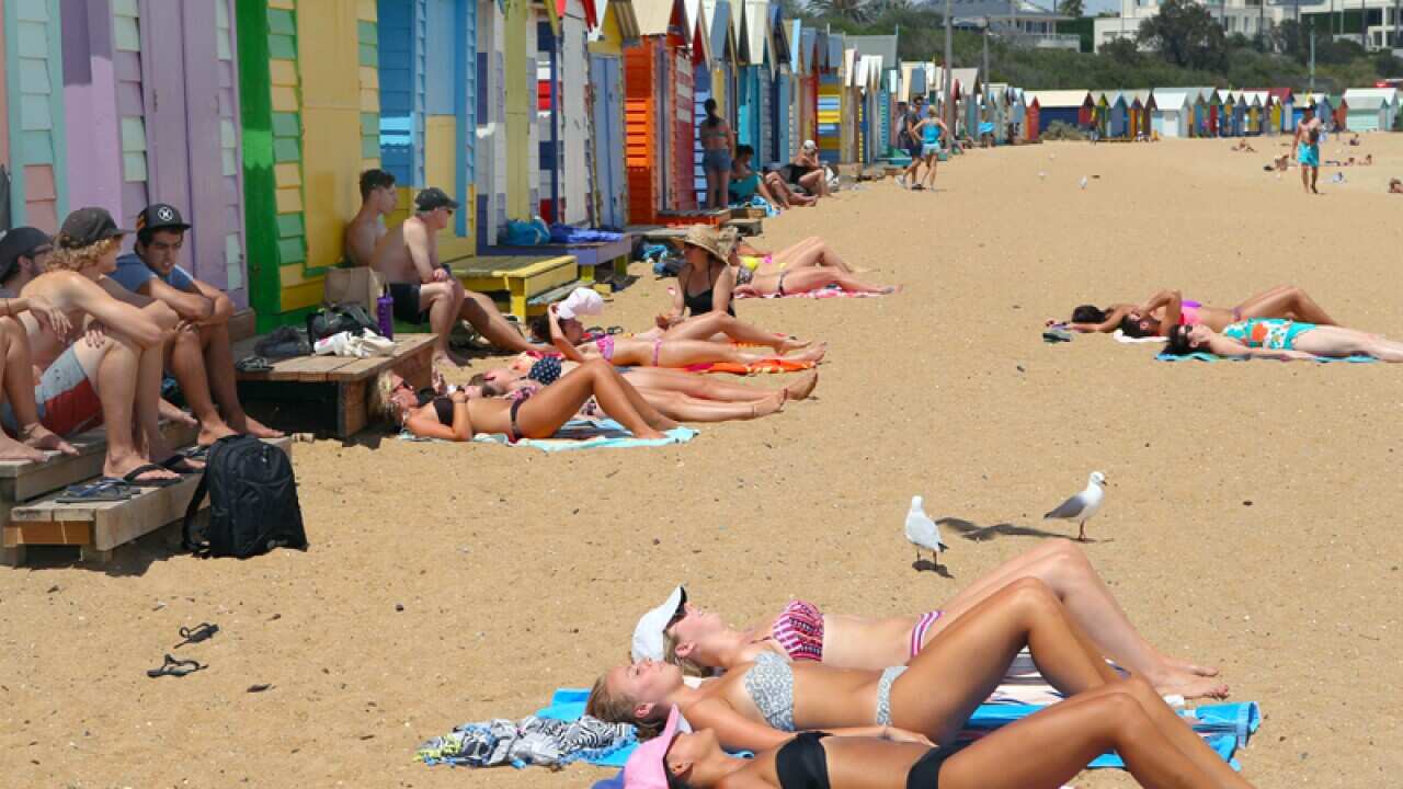 Beachcombers by Port Phillip Bay