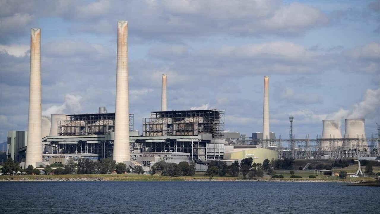 Elektrana Liddell u Muswellbrooku, NJW