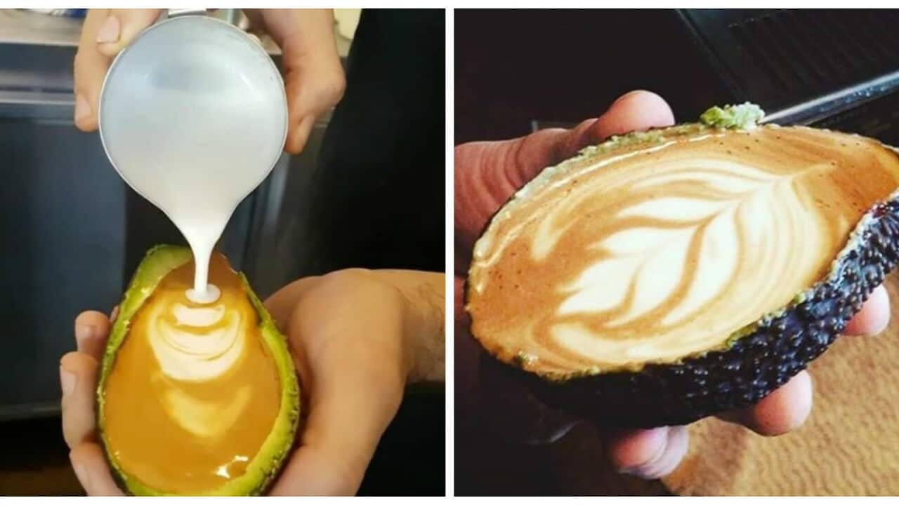 Melbourne cafe gives the world the 'Avolatte'