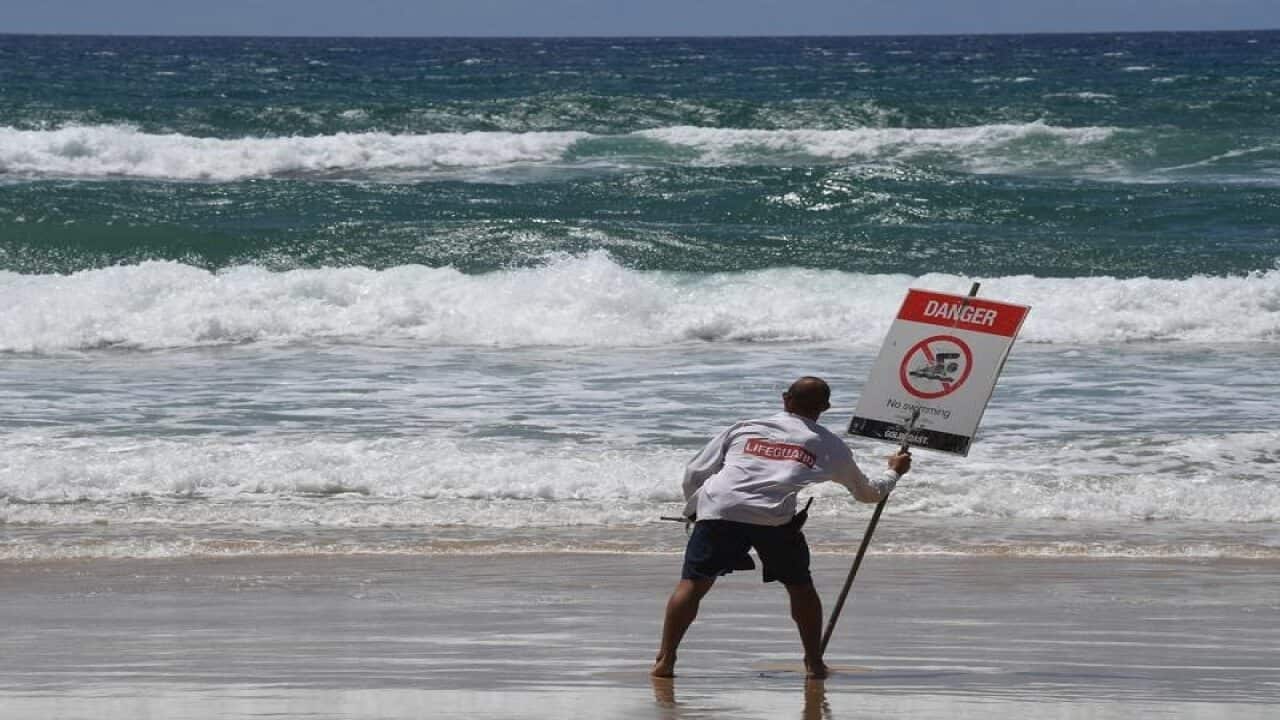 A lifeguard places a danger sign on the Gold Coast.