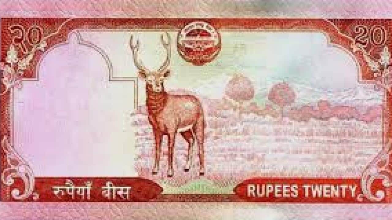 New Nepali notes