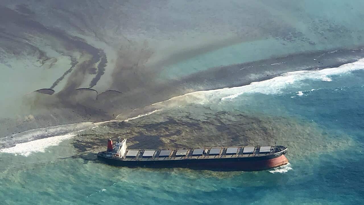 Oil leaking from the MV Wakashio, a bulk carrier ship that recently ran aground off the southeast coast of Mauritius.