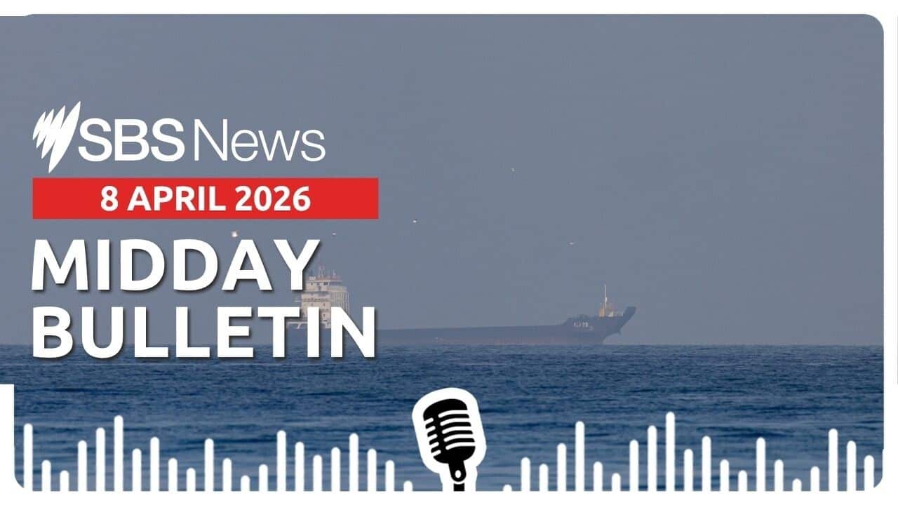 Midday Bulletin Image 8 April 2026.jpg