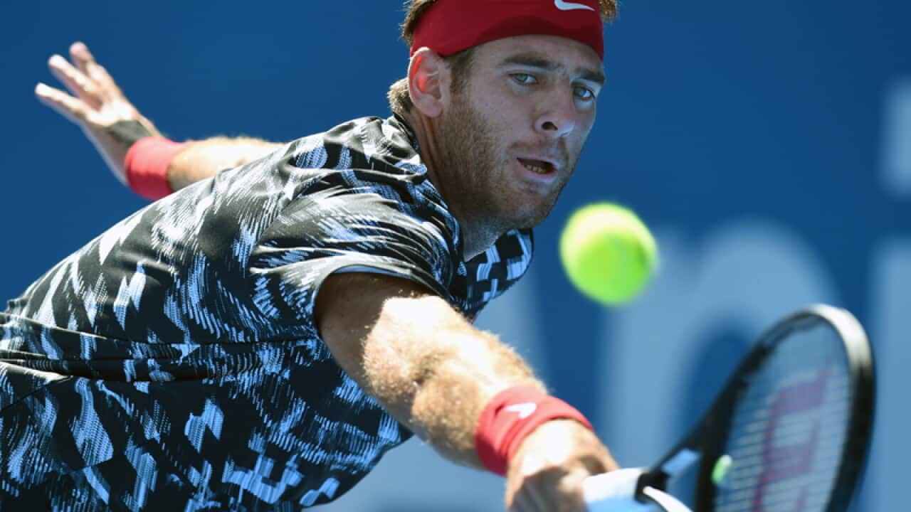 Juan Martin del Potro of Argentina