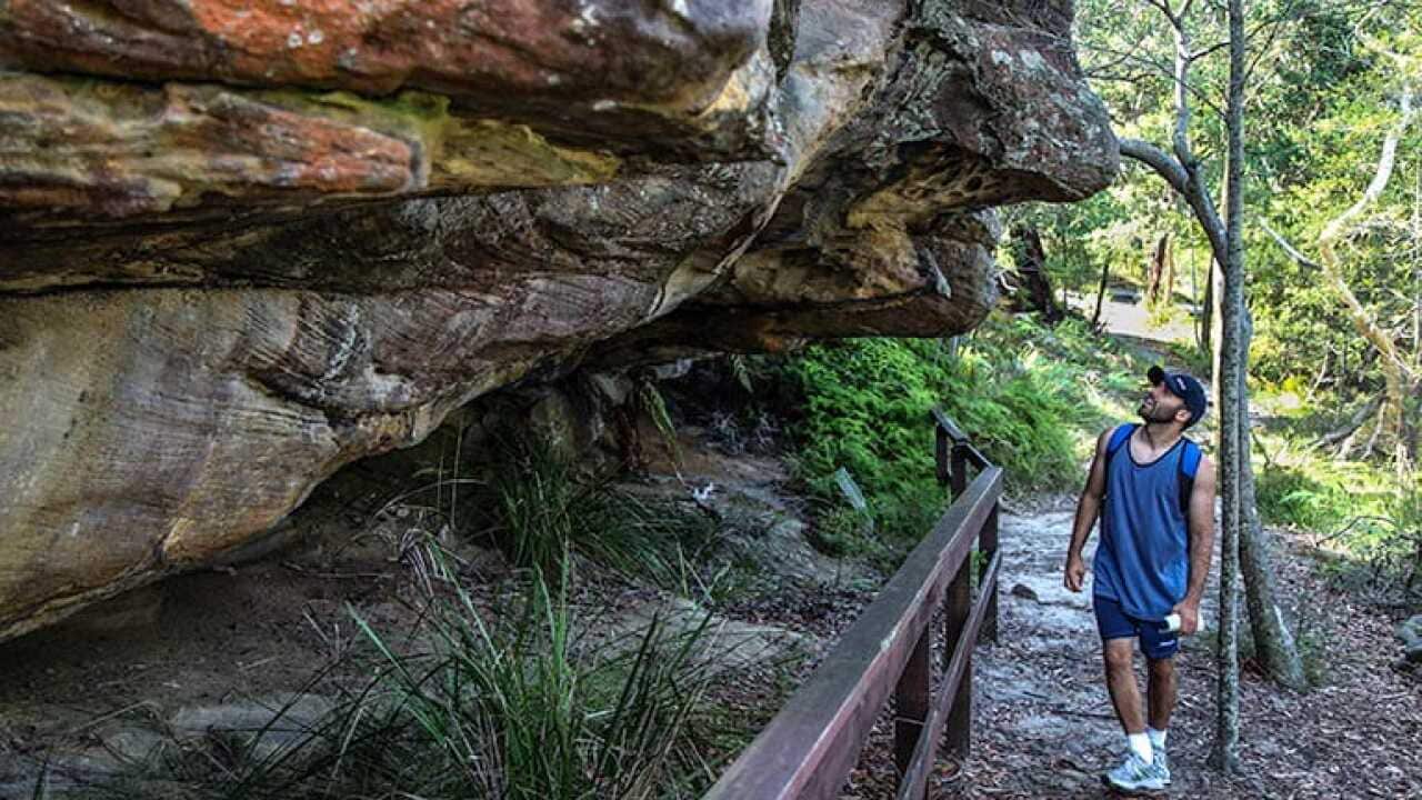 A bushwalker looking at a rock at the Aboriginal Heritage walk, Ku-ring-gai National Park, NSW