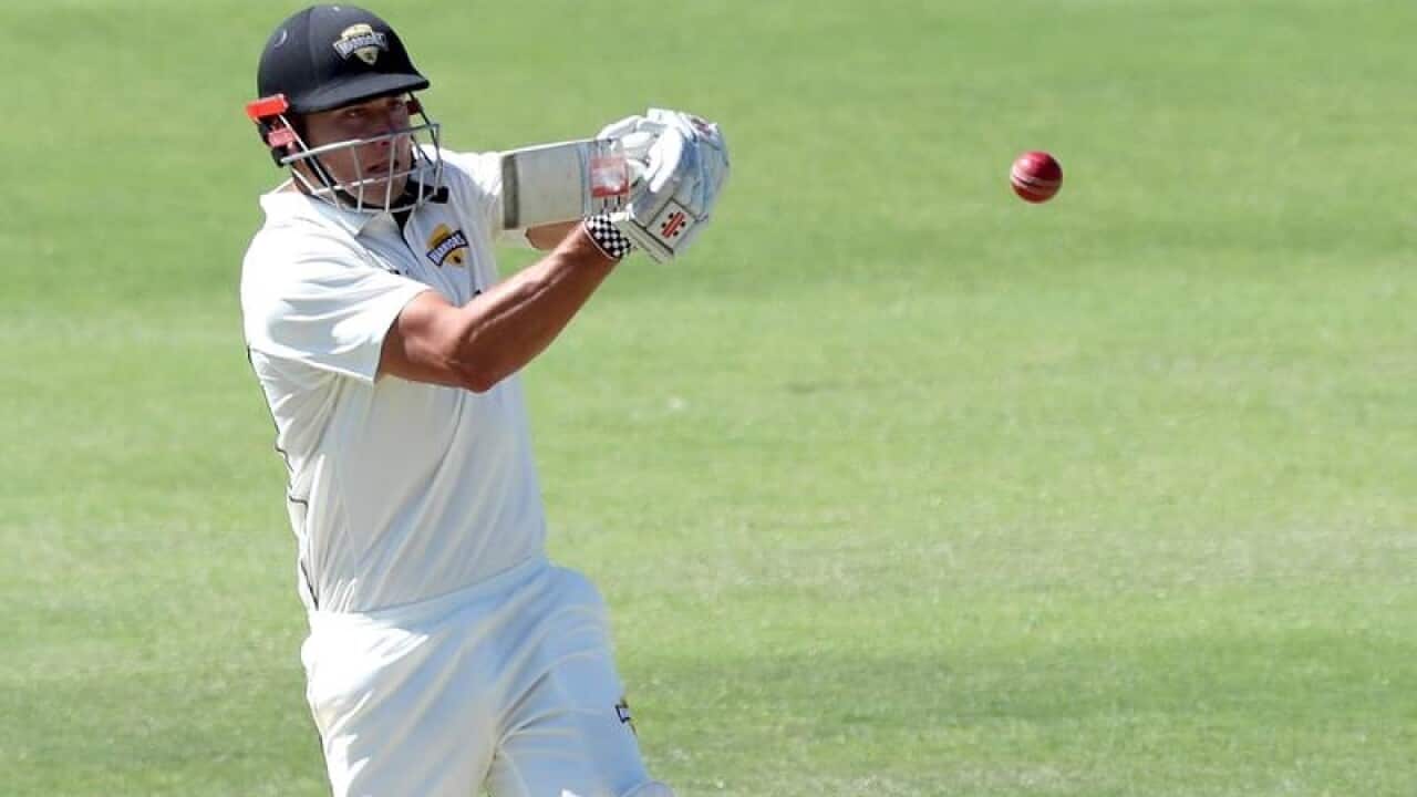 Stoinis