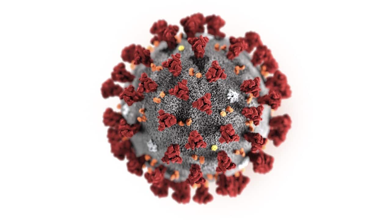 Illustration by the Centers for Disease Control and Prevention showing the coronavirus