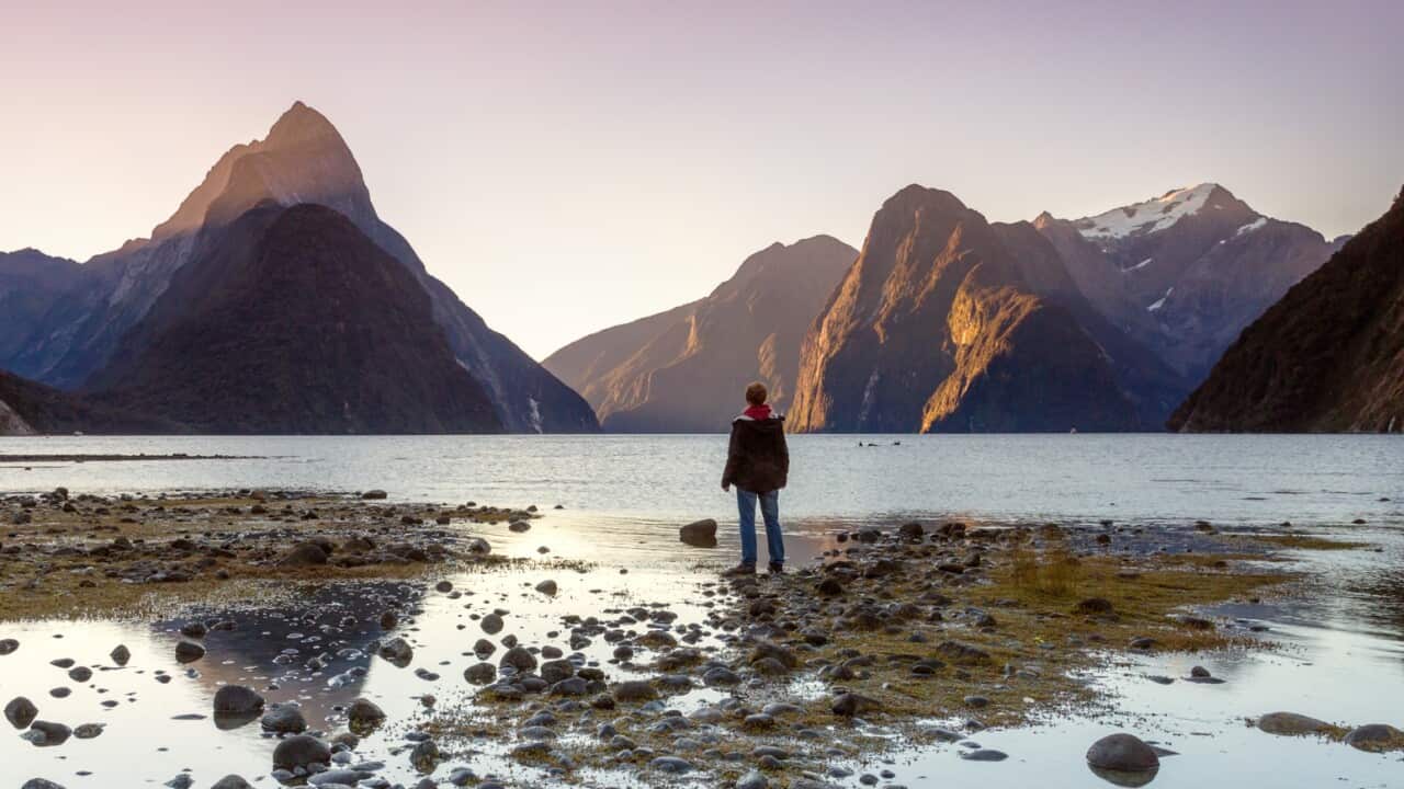 Man looking at view, Milford Sound, New Zealand