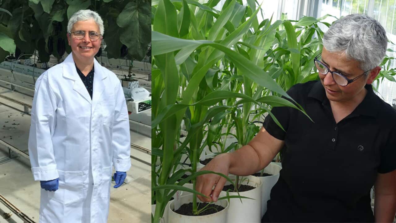 Image for read more article 'READ MORE'