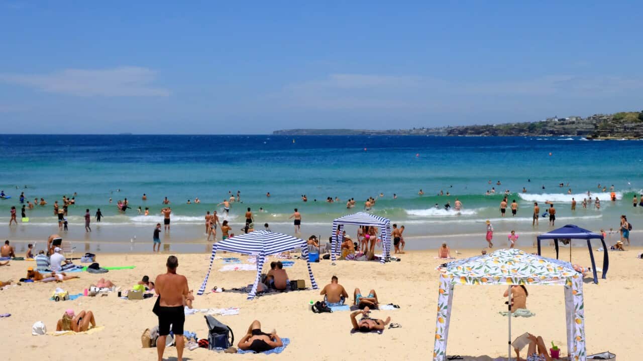 People cool off at the beach.