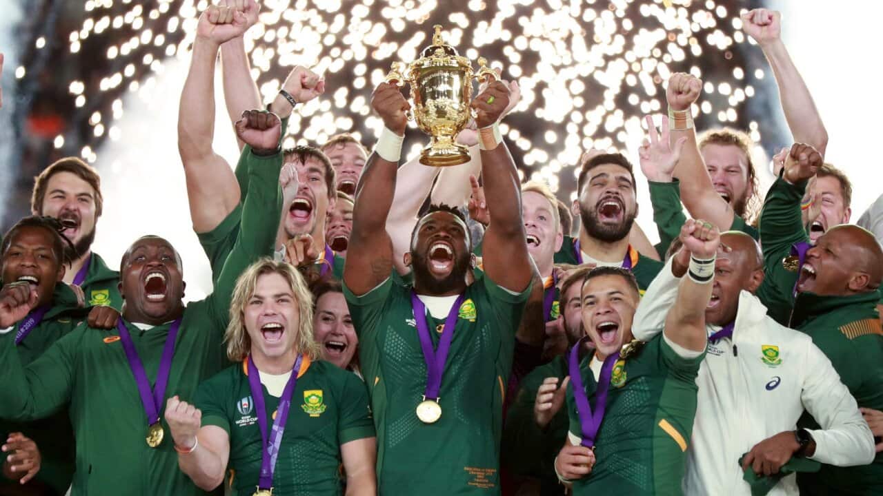 rugby world cup south africa japan