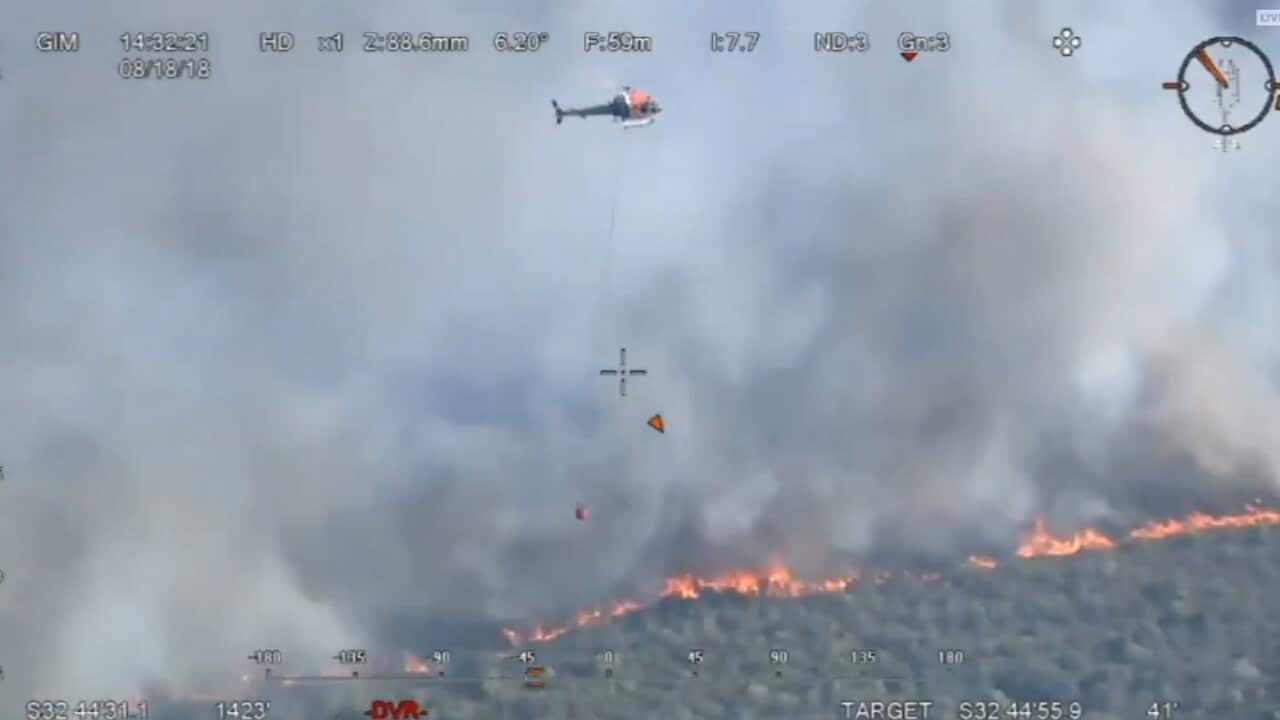 The fire at Lemon Tree Passage.