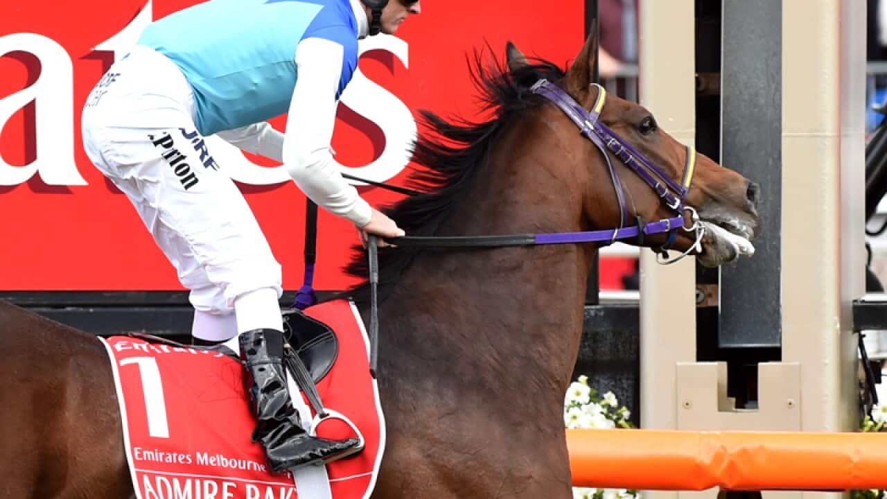 Japanese horse Admire Rakti