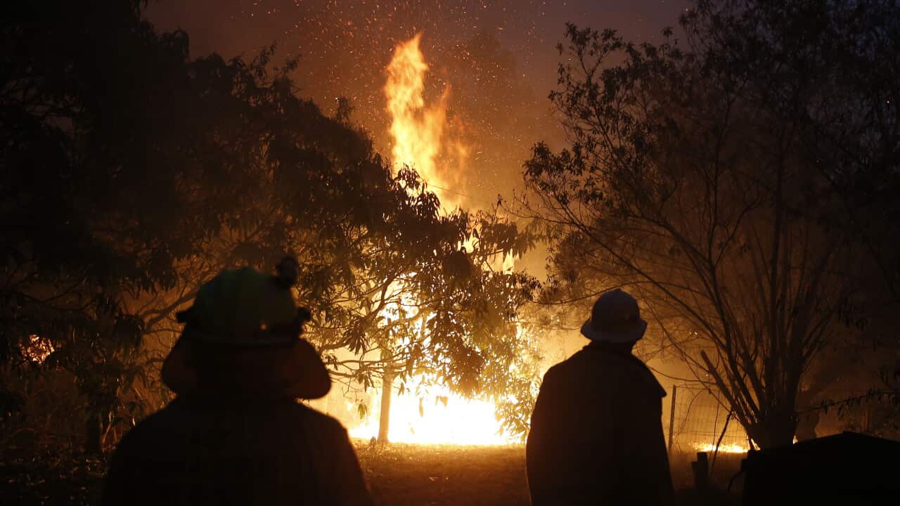 'A really long night': Crews keep up bushfire fight as fresh winds ...