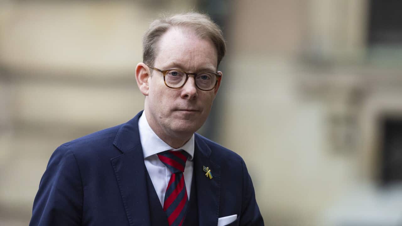 Image for read more article 'READ MORE'