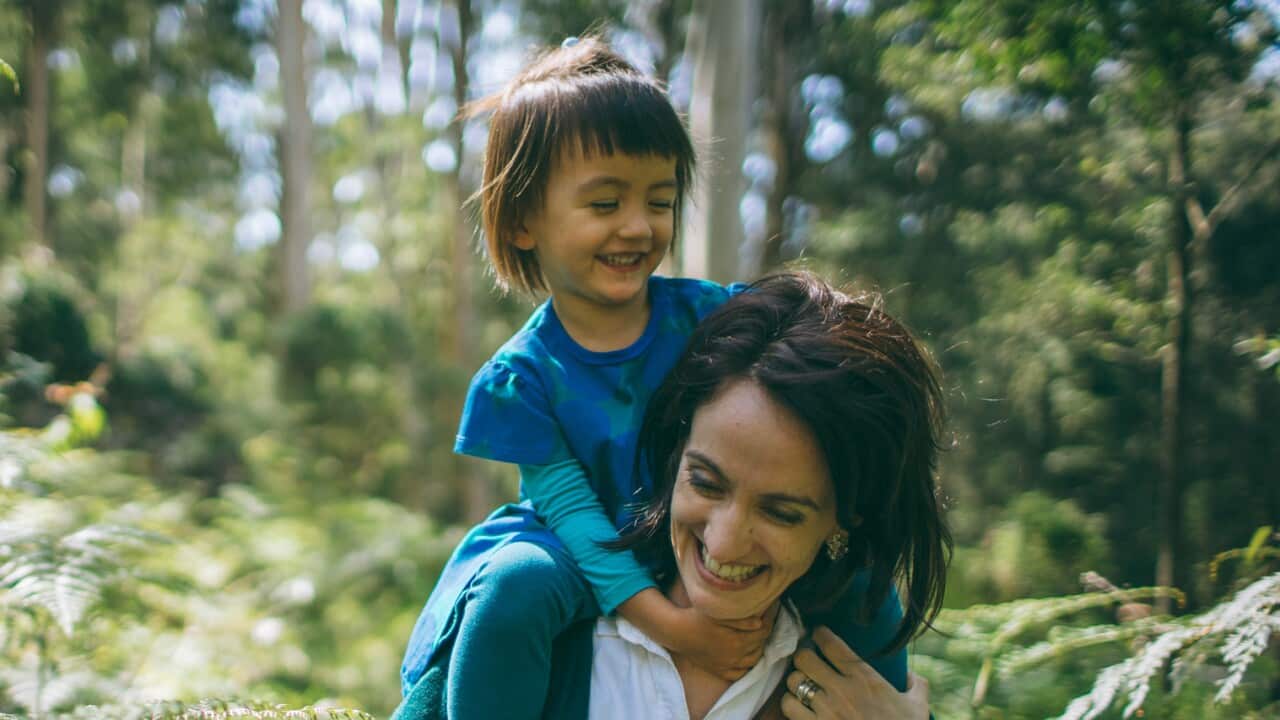 Bushwalks in lockdown