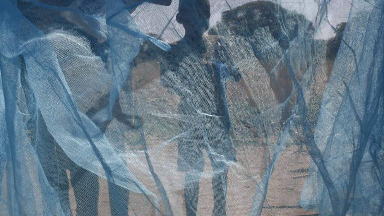 villagers looking at new mosquito nets