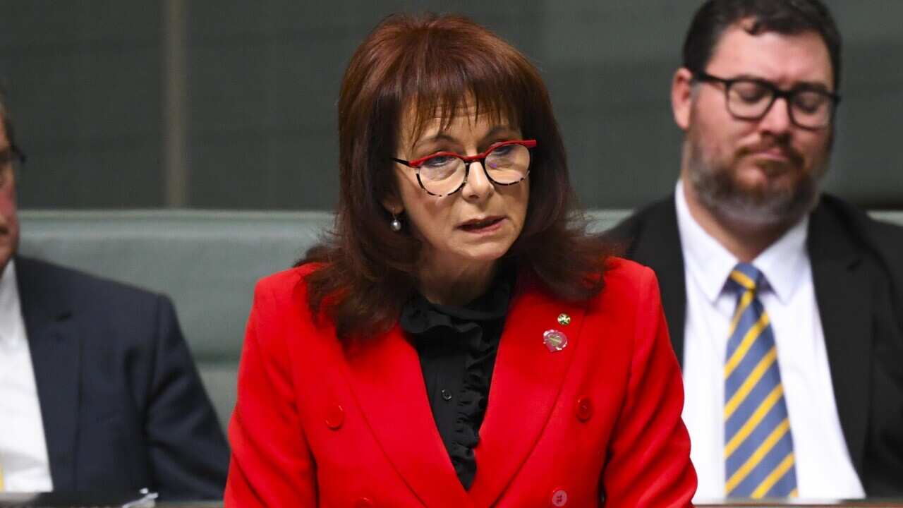 Nationals Member for Mallee Anne Webster delivers her first speech in the House of Representatives at Parliament House in Canberra, Thursday, August 1, 2019. (AAP Image/Lukas Coch) NO ARCHIVING