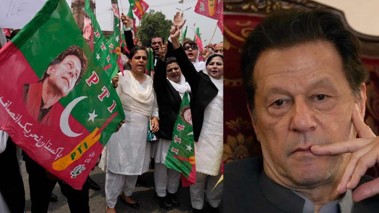 Collage Maker-11-Aug-2023-12-12-PM-5288.jpg