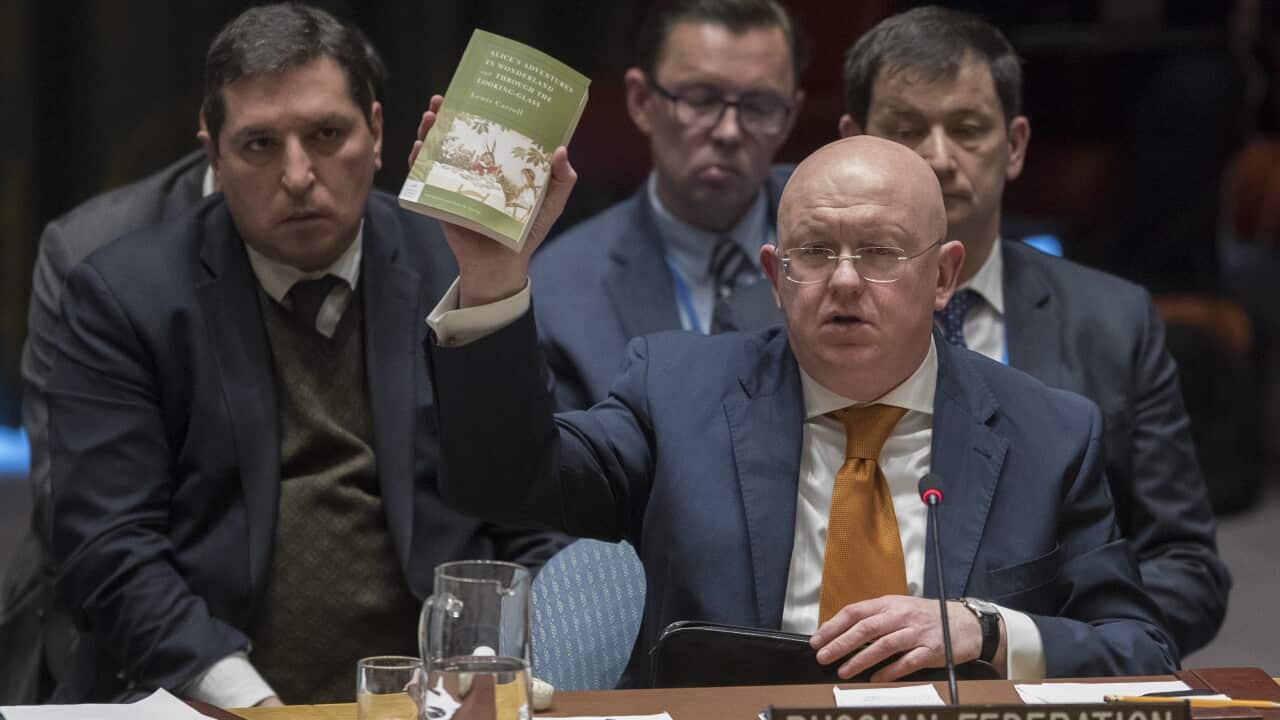 Russian Ambassador to the UN, Vassily Nebenzia, holds up a copy of 'Alice's Adventures in Wonderland' as he speaks during a Security Council meeting
