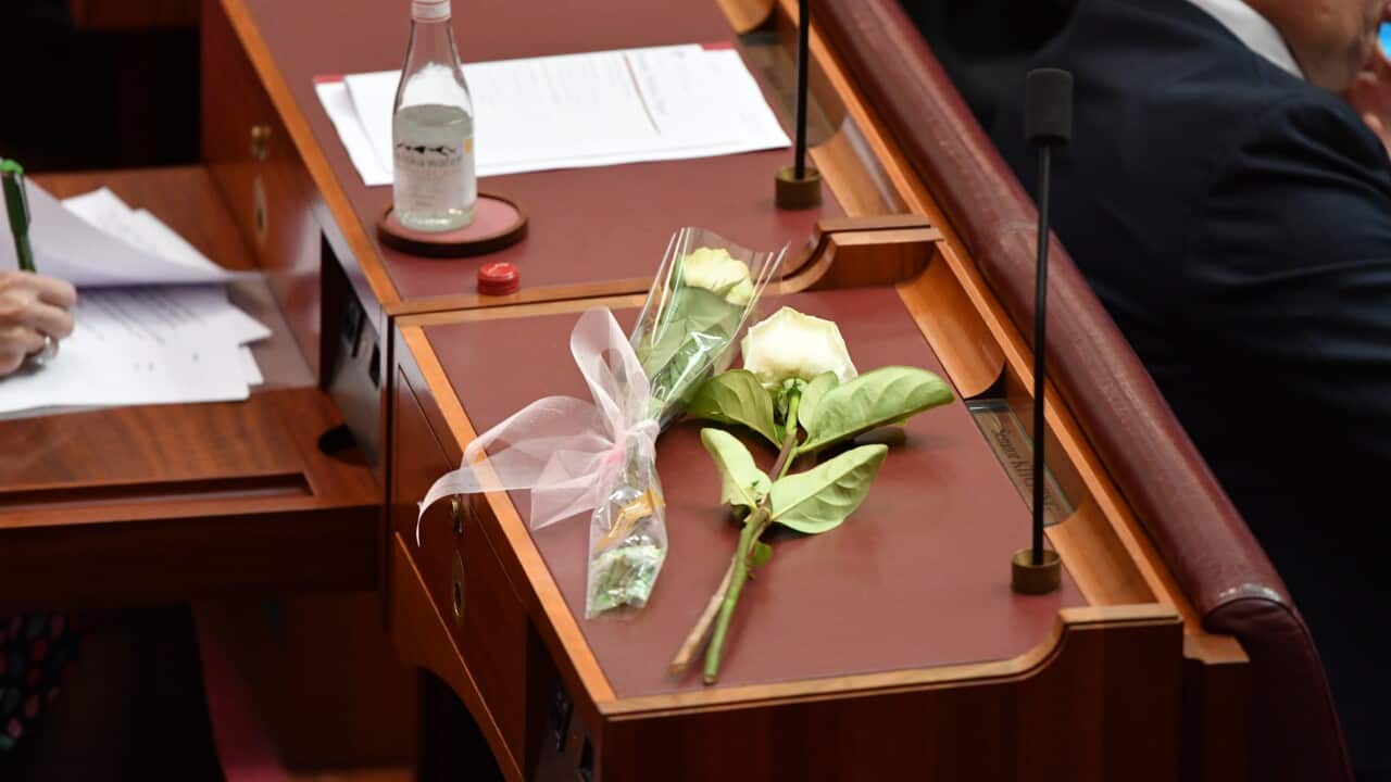 White roses are seen placed on the desk of the late Labor Senator Kimberley Kitching during a special Senate session at Parliament House in Canberra.