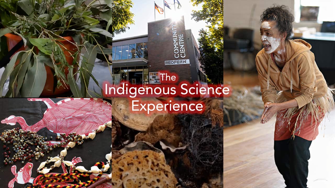 Indigenous Science Experience is a free community event in Redfern
