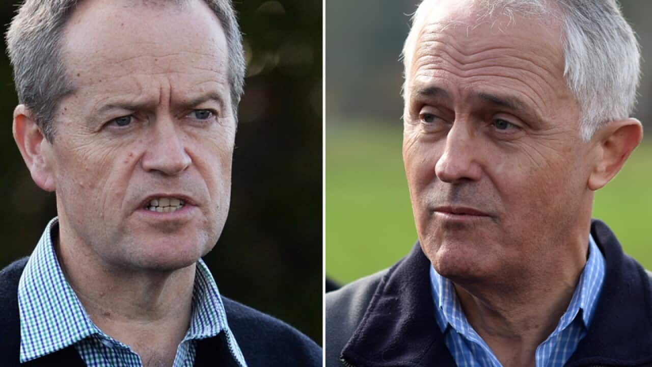 Bill Shorten and Malcolm Turnbull