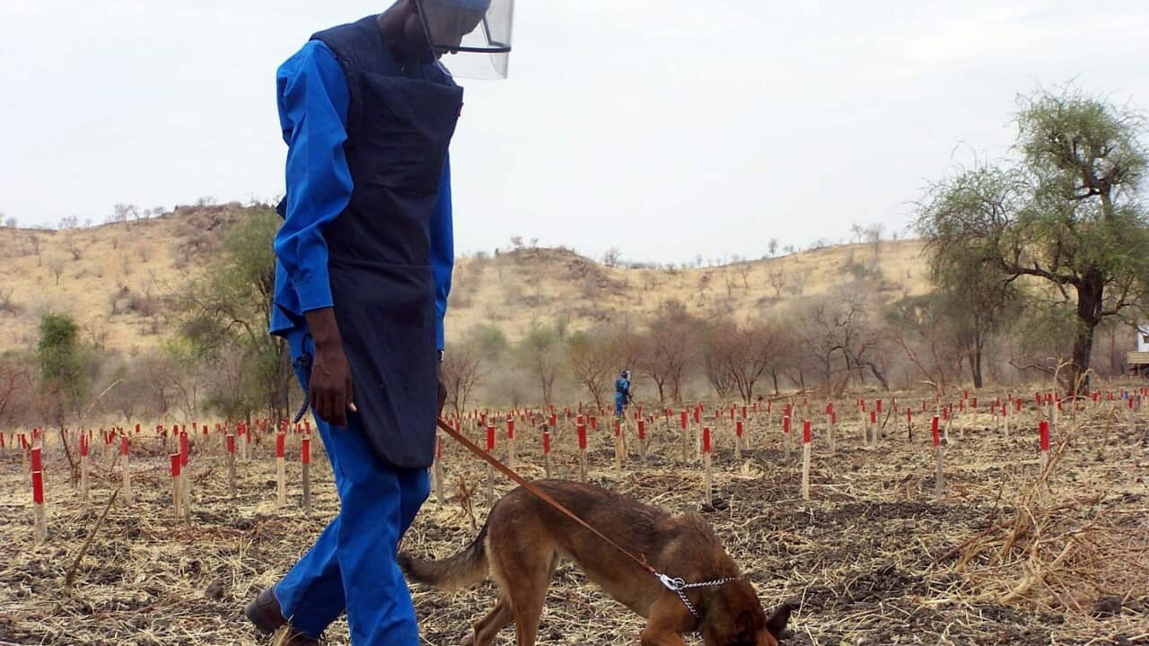 Arega is part of an increased effort recently by donor agencies, the European Union and others to de-mine the area in Ethiopia.