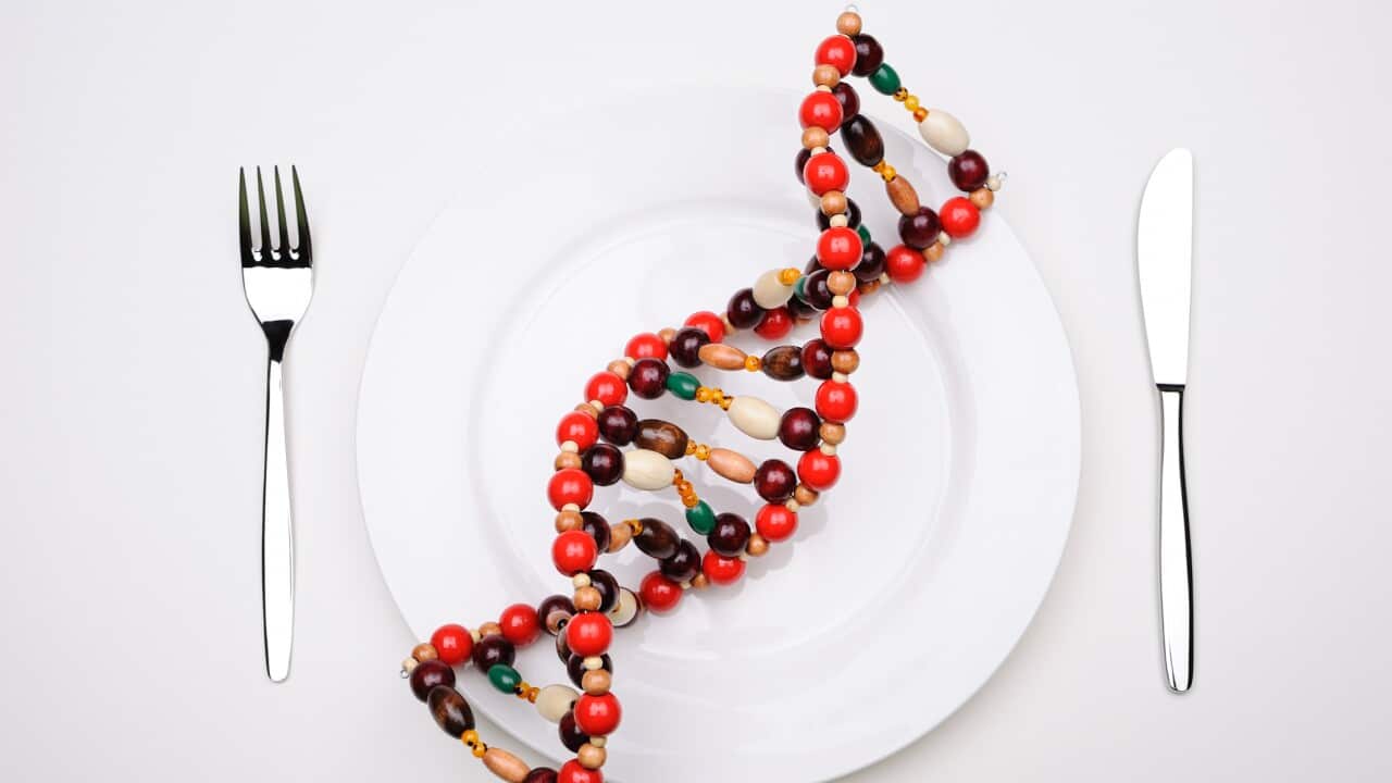 “Culinary genomics teaches us how to use our DNA to determine what we should put on our plates and how to cook it.”