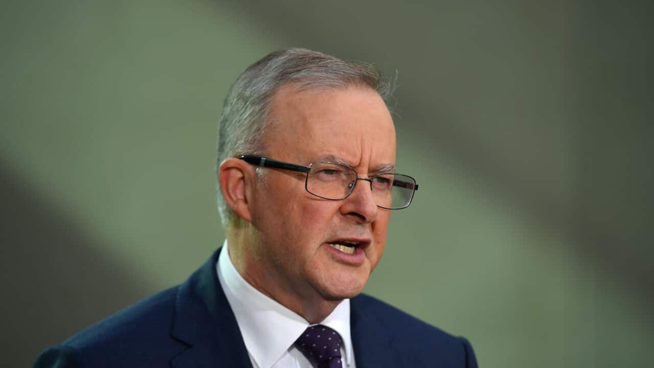 Federal Opposition leader Anthony Albanese