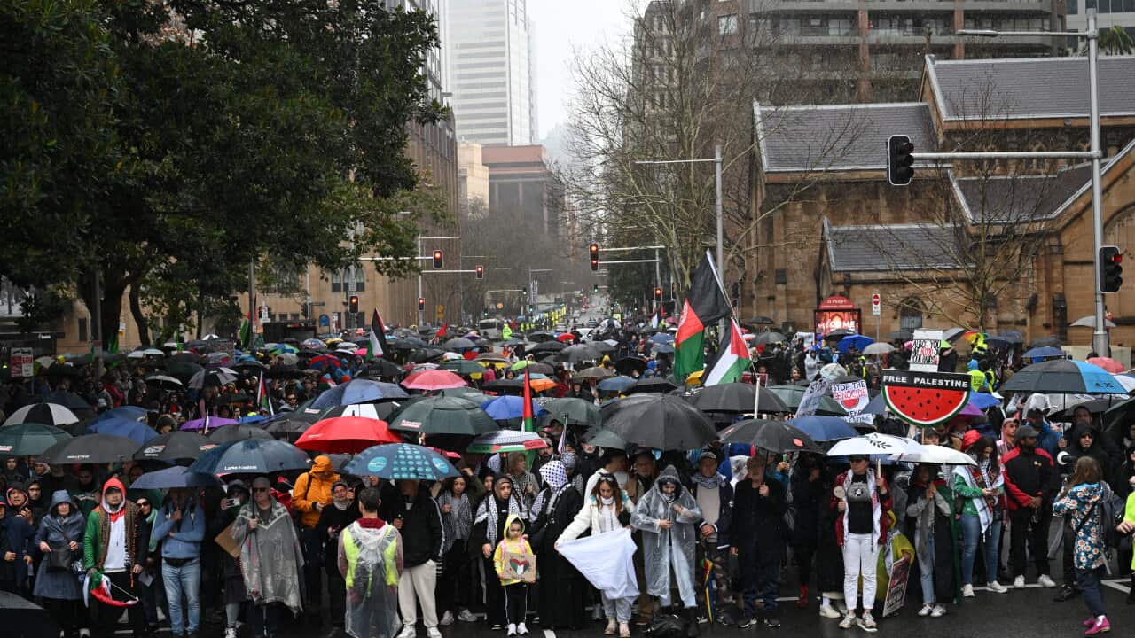 PRO PALESTINE SYDNEY HARBOUR BRIDGE MARCH