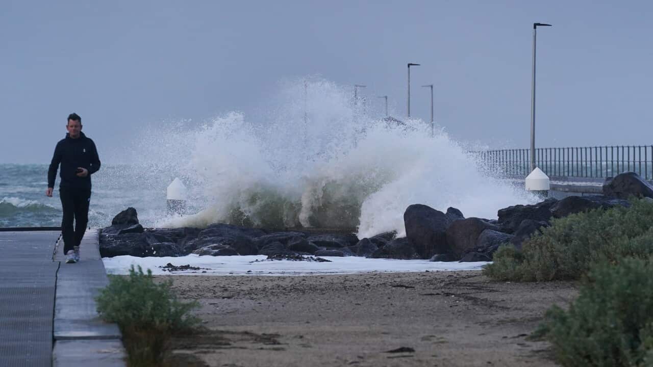 windy conditions have been forecast for Melbourne coast.