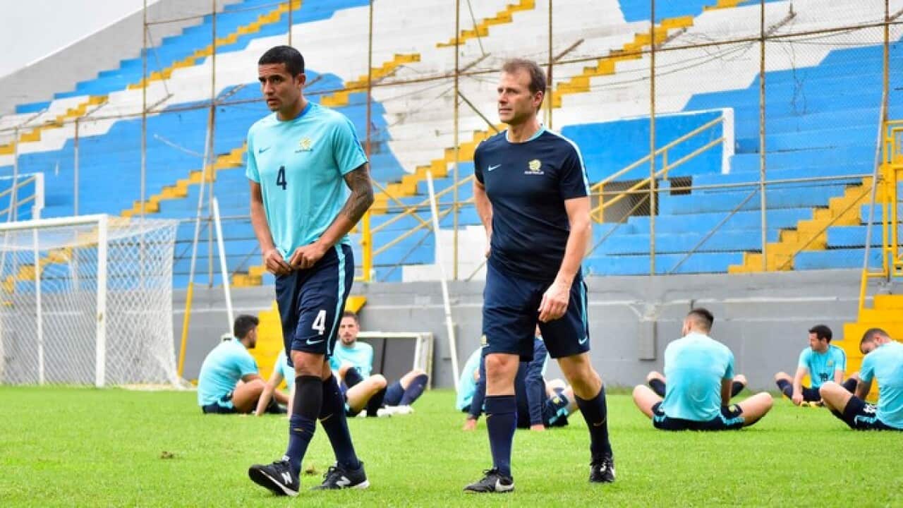 Australia captain Tim Cahill, left, warms during a training session at the Francisco Morazan Stadium in San Pedro Sula, Honduras, Tuesday, Nov. 7, 2017. Australia and Honduras will face for the first leg of the World Cup playoff on Friday. (AP Photo)