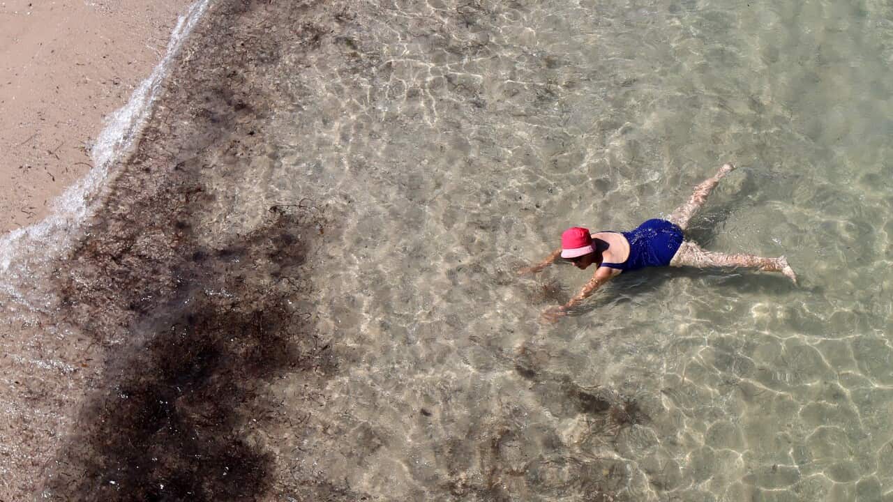 A beachgoer seen at Glenelg beach in Adelaide.